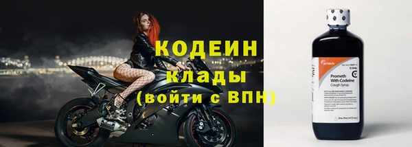 гидра Михайловка