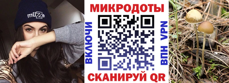 Галлюциногенные грибы мухоморы  Стрежевой 